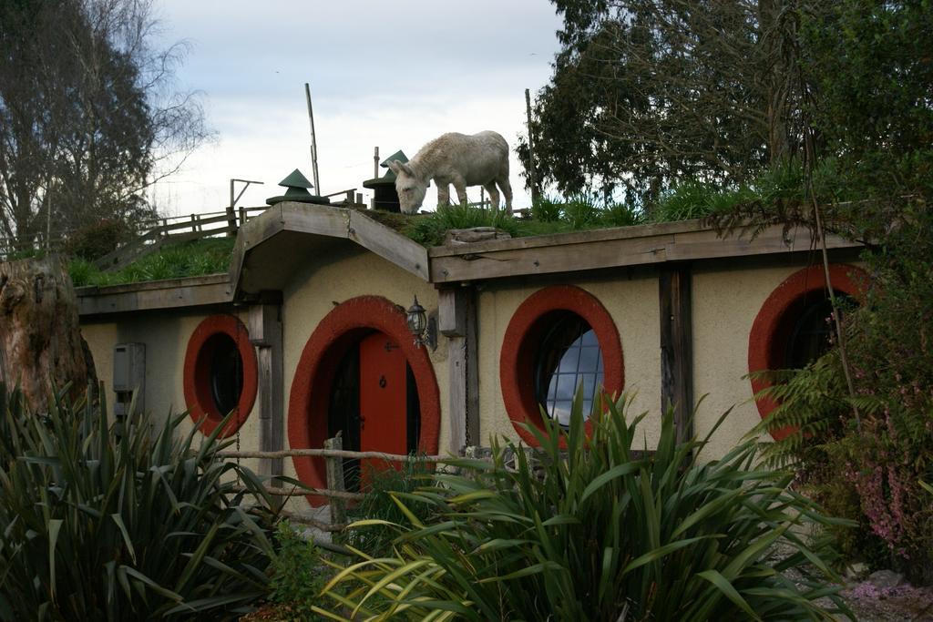 Woodlyn Park Motel Waitomo Caves Bagian luar foto