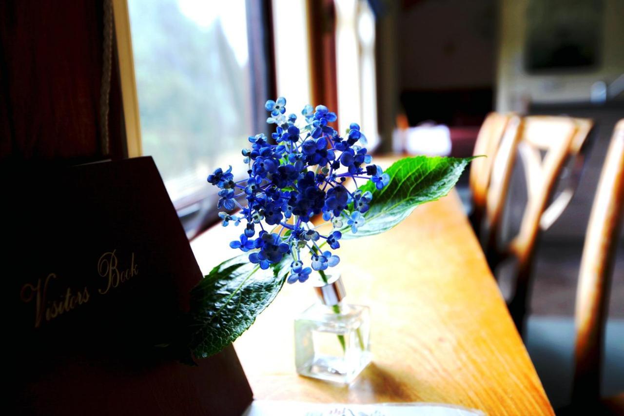 Woodlyn Park Motel Waitomo Caves Bagian luar foto