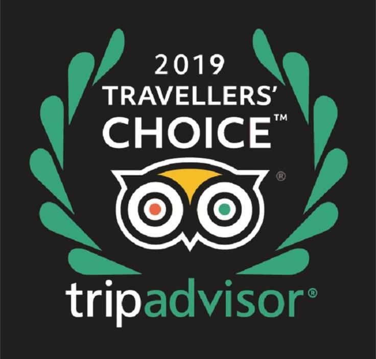 Woodlyn Park Motel Waitomo Caves Bagian luar foto